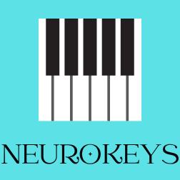 NeuroKeys Stress Relief Fidget Toy